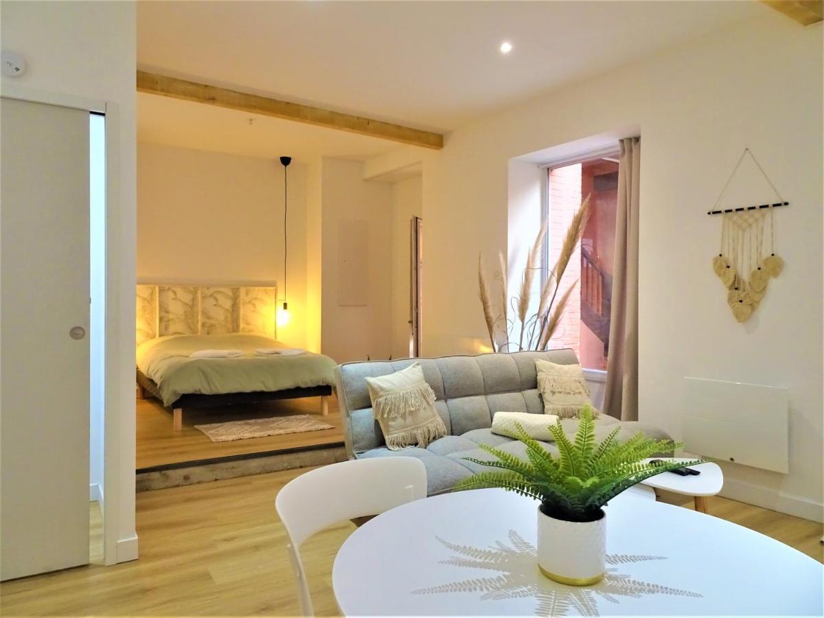 Sublime Cocon Pour 2 Aux Portes De La Place Nationale - Proximite Immediate Toutes Commodites Et Sites D'Interets Apartman Montauban Kültér fotó